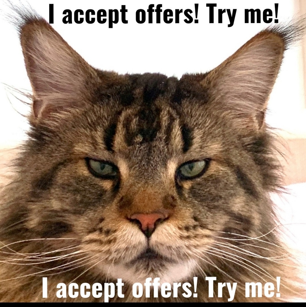 Wolfie will accept your offer!   Try him!
